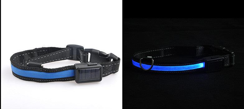 TimberPup TrailGlow™ LED Safety Collar