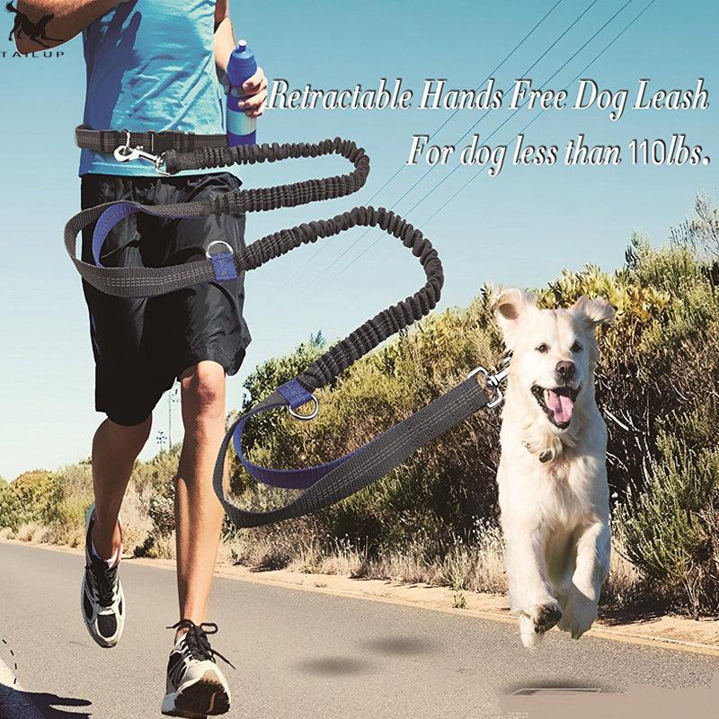 TimberPup Trailflex HandsFree Dog Leash