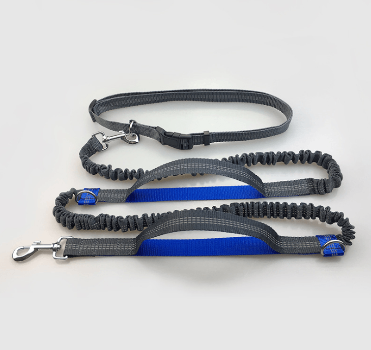 TimberPup Trailflex HandsFree Dog Leash
