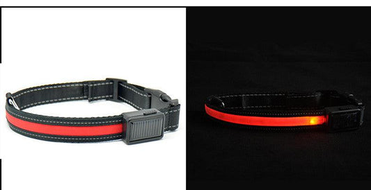TimberPup TrailGlow™ LED Safety Collar
