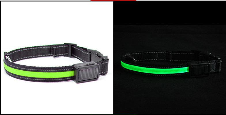 TimberPup TrailGlow™ LED Safety Collar