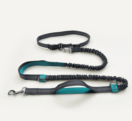 TimberPup Trailflex HandsFree Dog Leash
