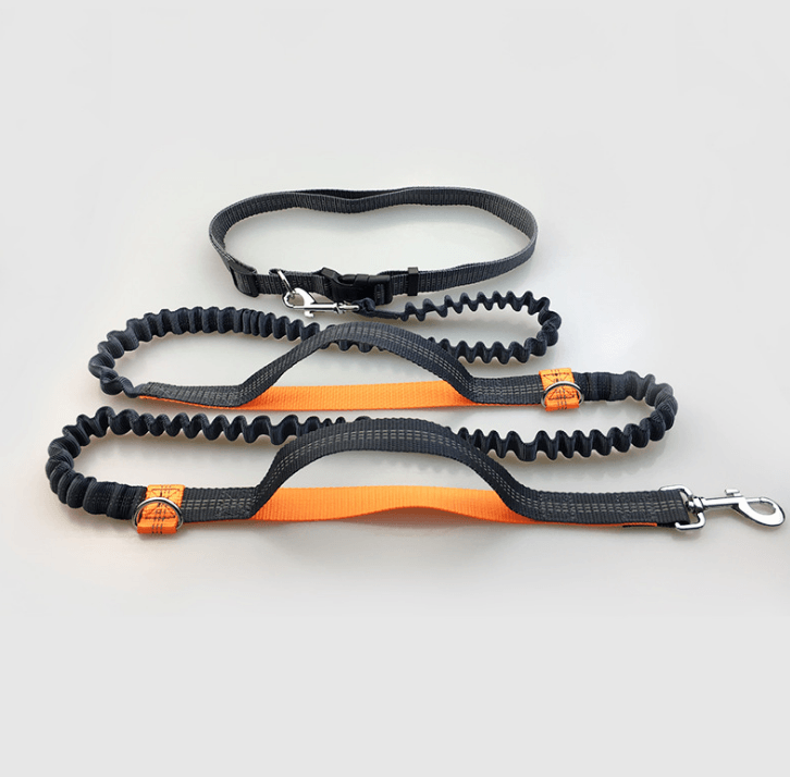TimberPup Trailflex HandsFree Dog Leash