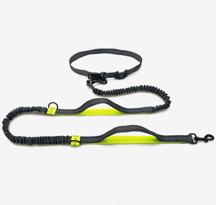 TimberPup Trailflex HandsFree Dog Leash