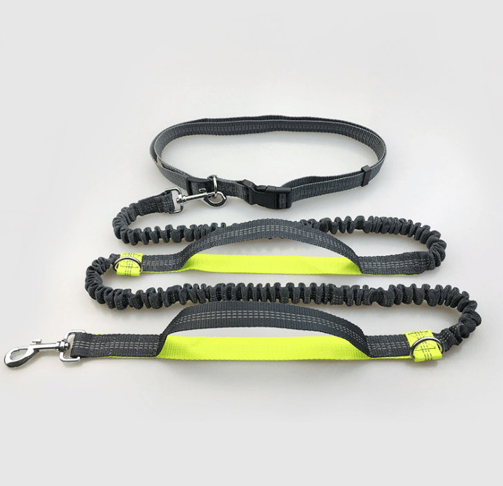 TimberPup Trailflex HandsFree Dog Leash